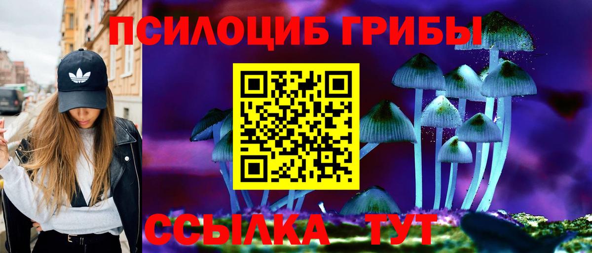 Галлюциногенные грибы Psilocybe Острогожск